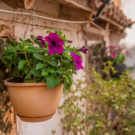 Barranco De Maravillas Hétvégi ház Teruel