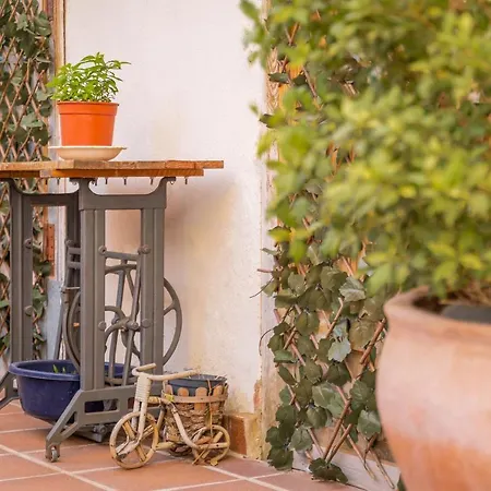 Barranco De Maravillas Country house