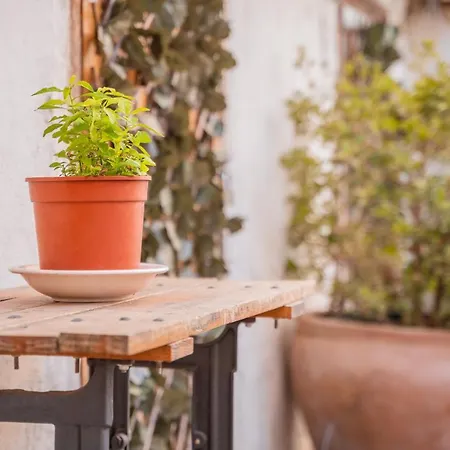 Barranco De Maravillas * Teruel