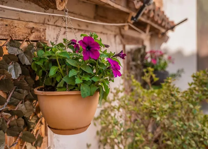 Barranco De Maravillas Casa rural Teruel