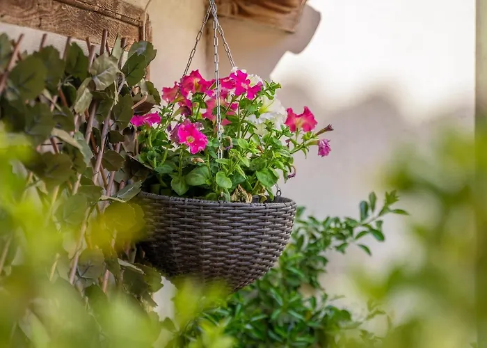 Casa rural Barranco De Maravillas Teruel